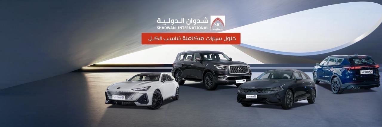 شركه شدوان الدوليه
